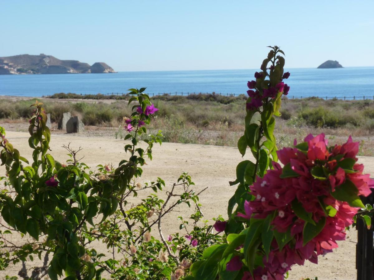 Las Azaleas San Juan De Los Terreros Bagian luar foto